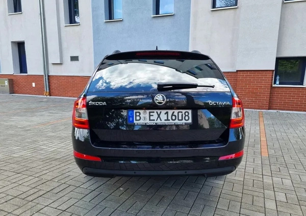 Skoda Octavia cena 44999 przebieg: 166000, rok produkcji 2016 z Żary małe 301